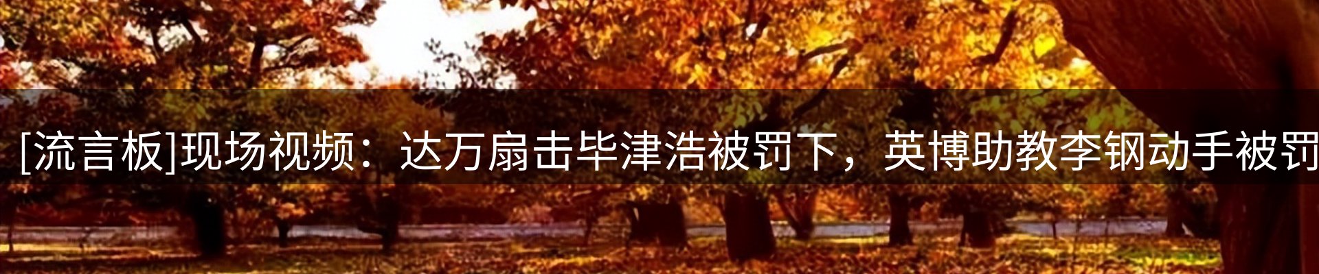 焦点展望